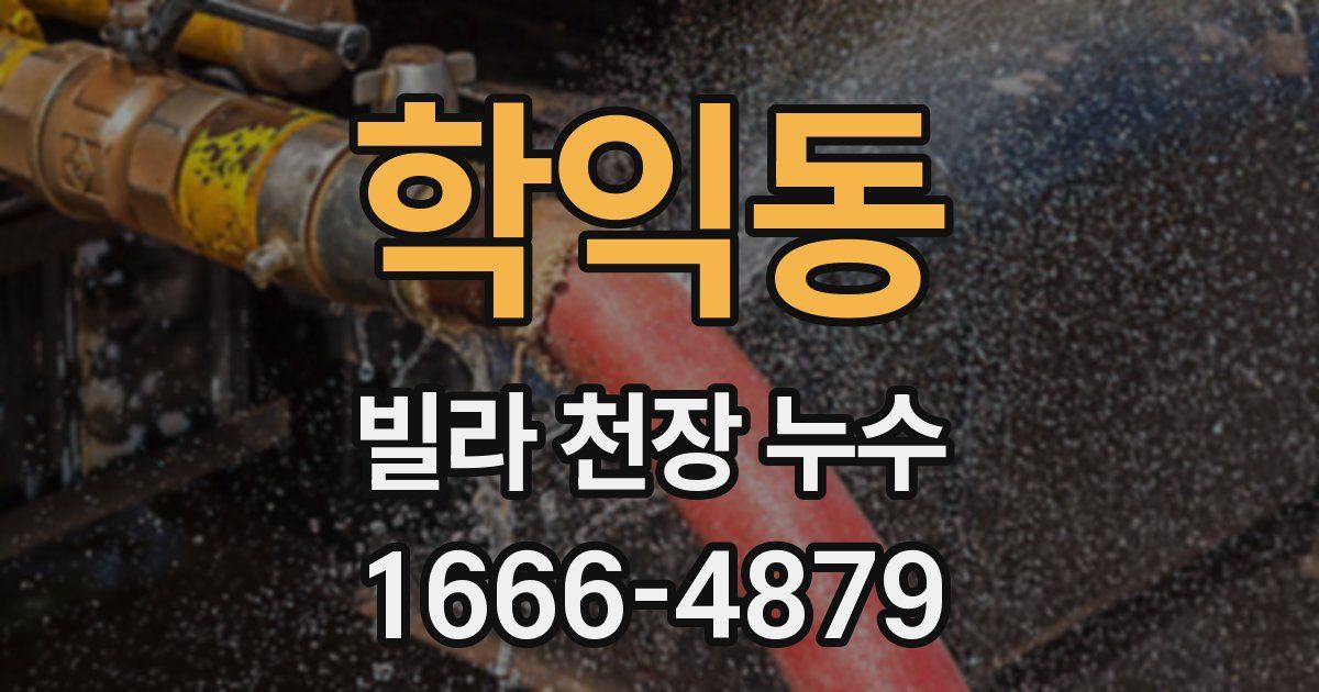 학익동 빌라 천장 누수