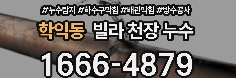 학익동 빌라 천장 누수