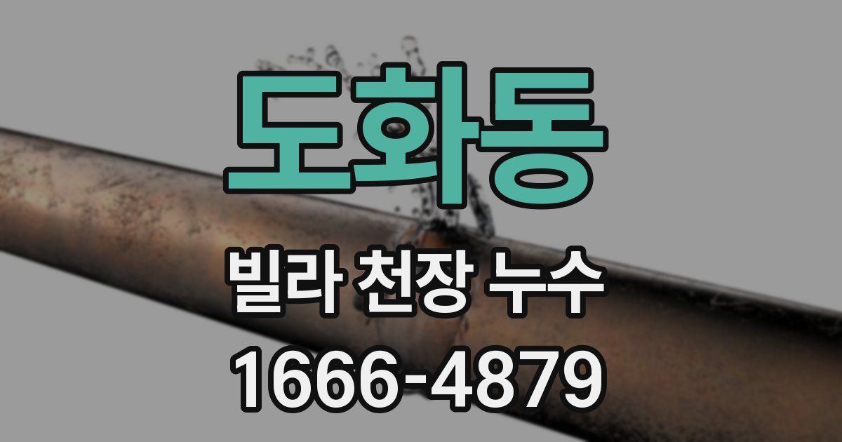 도화동 빌라 천장 누수