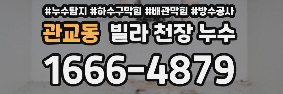 관교동 빌라 천장 누수