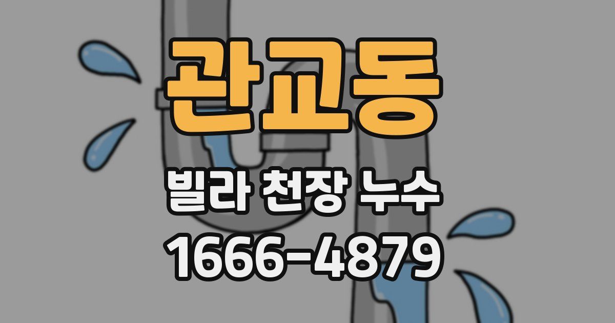 관교동 빌라 천장 누수