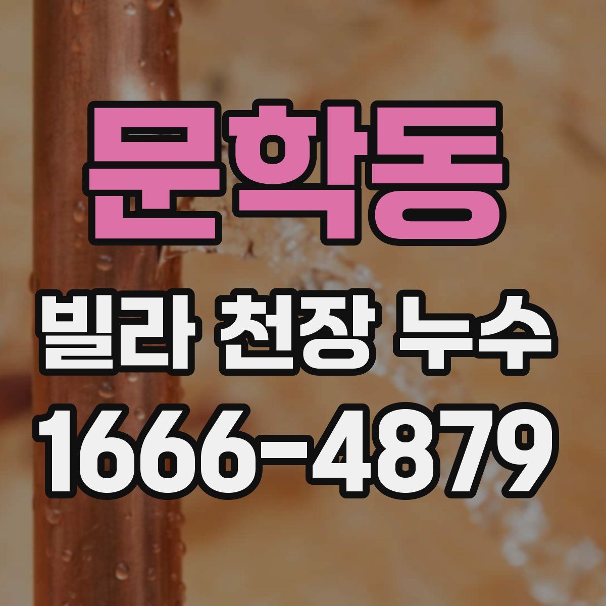 문학동 빌라 천장 누수