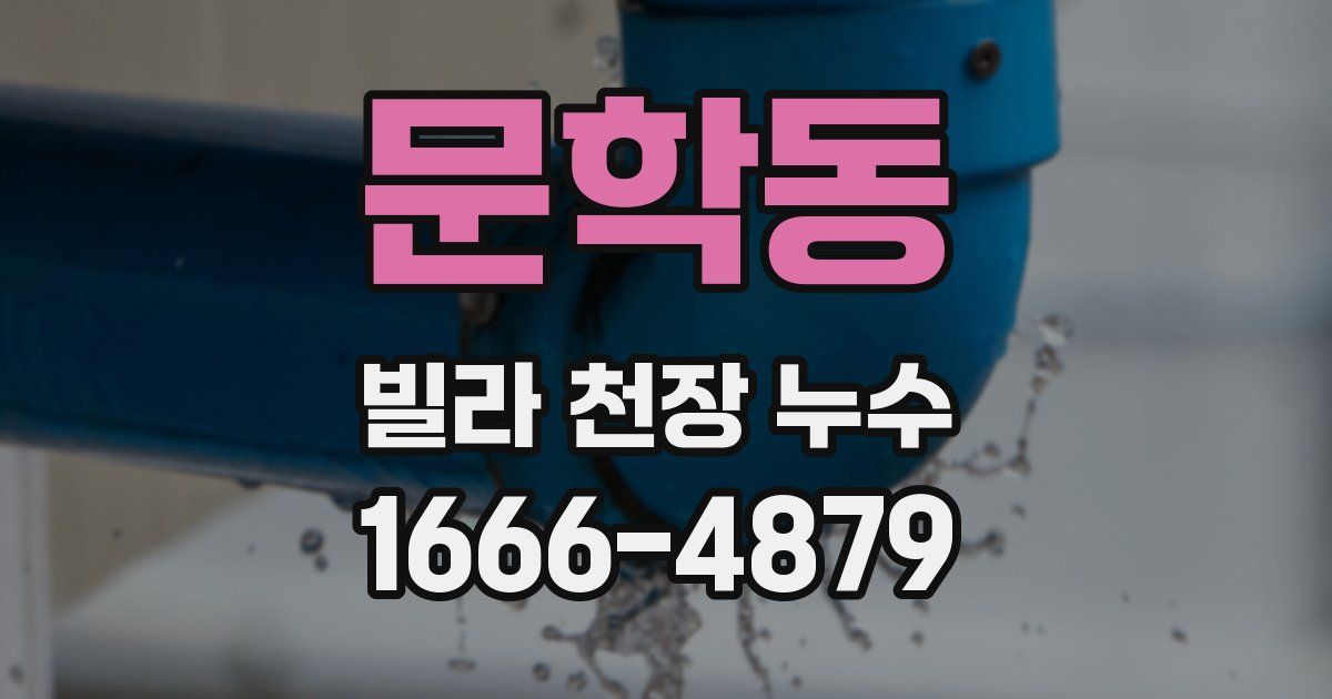 문학동 빌라 천장 누수