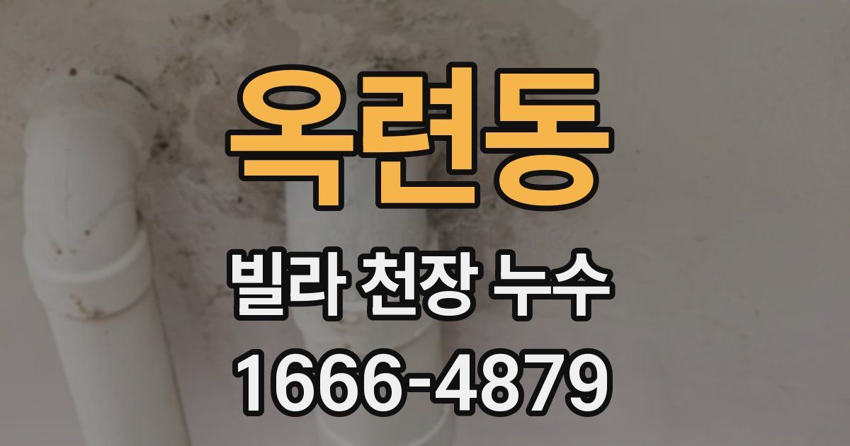 옥련동 빌라 천장 누수