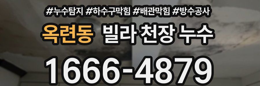 옥련동 빌라 천장 누수
