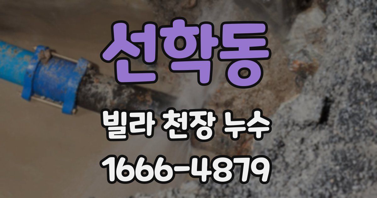 선학동 빌라 천장 누수
