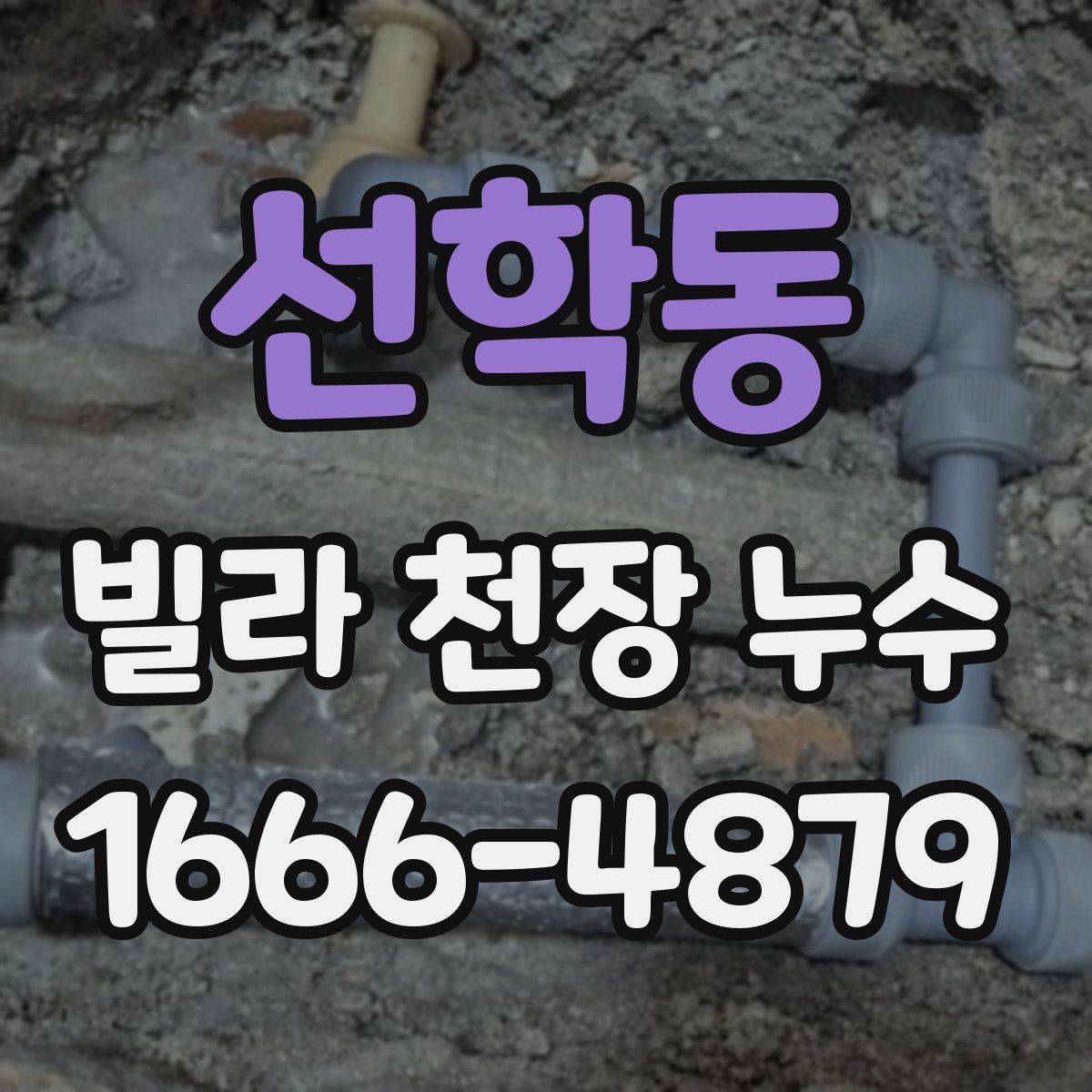 선학동 빌라 천장 누수