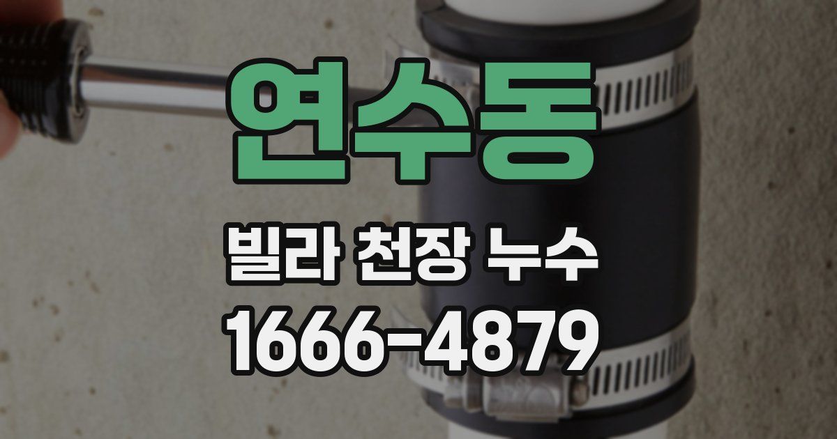 연수동 빌라 천장 누수