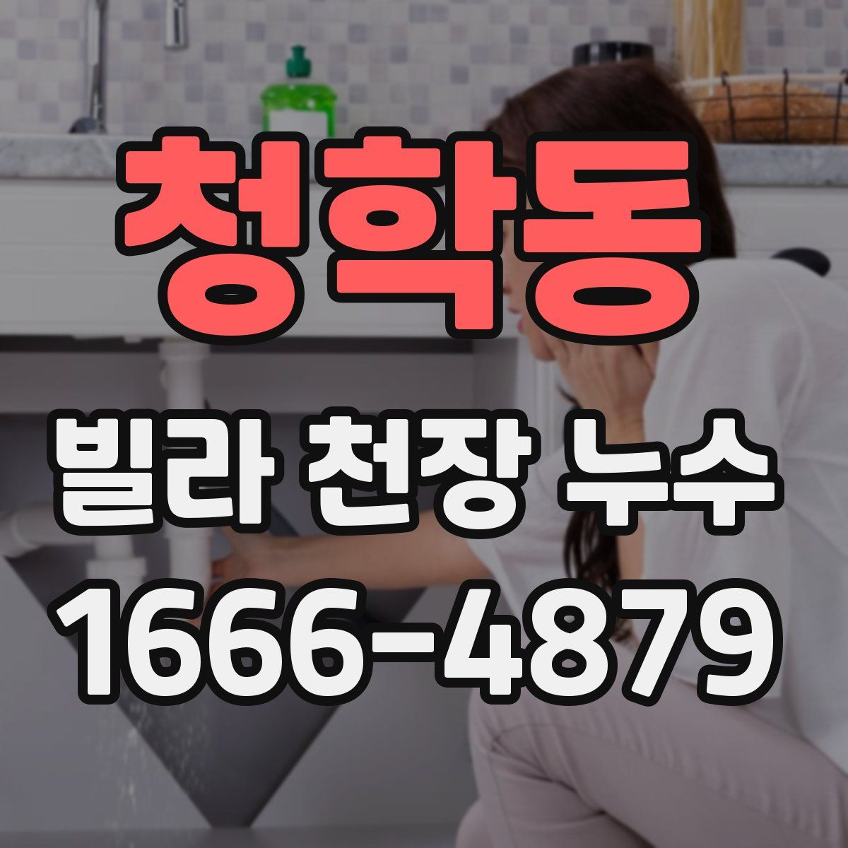청학동 빌라 천장 누수