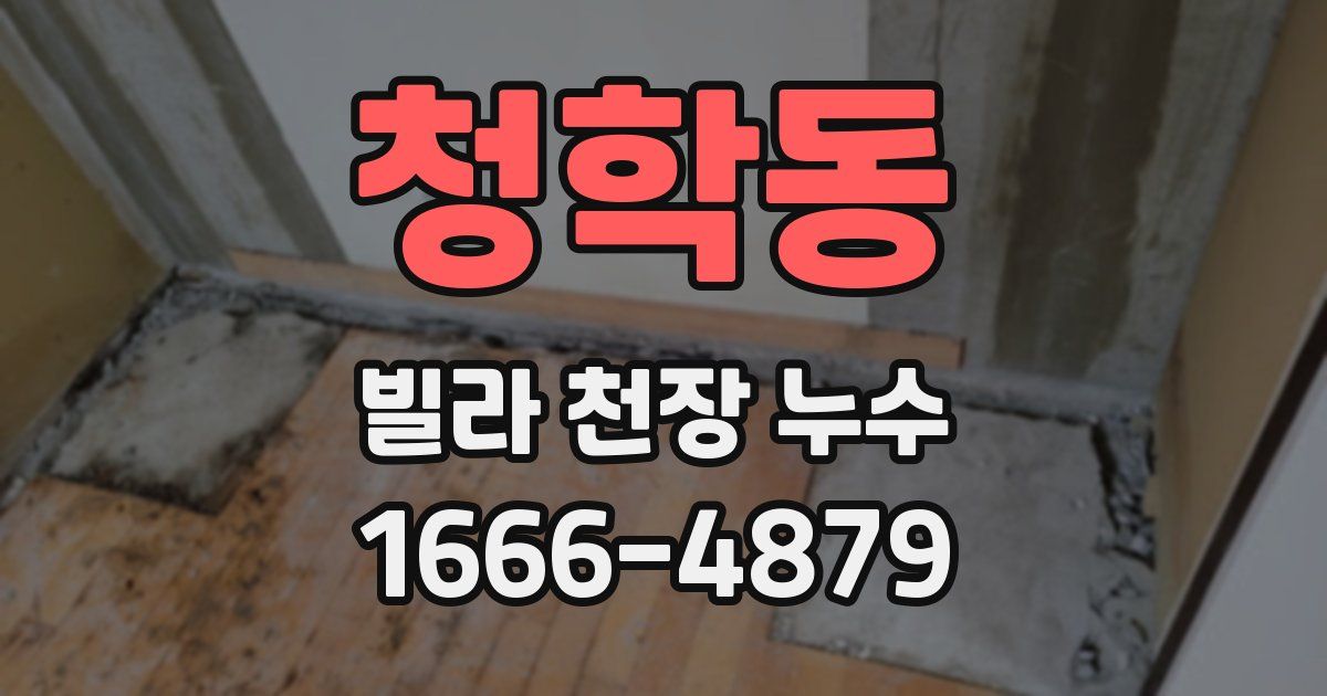 청학동 빌라 천장 누수