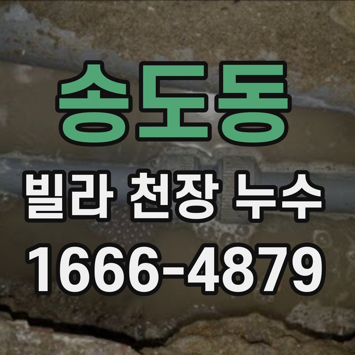송도동 빌라 천장 누수