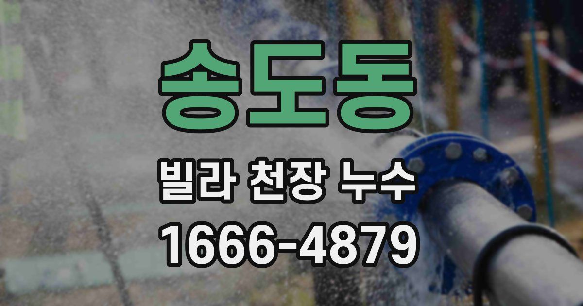 송도동 빌라 천장 누수