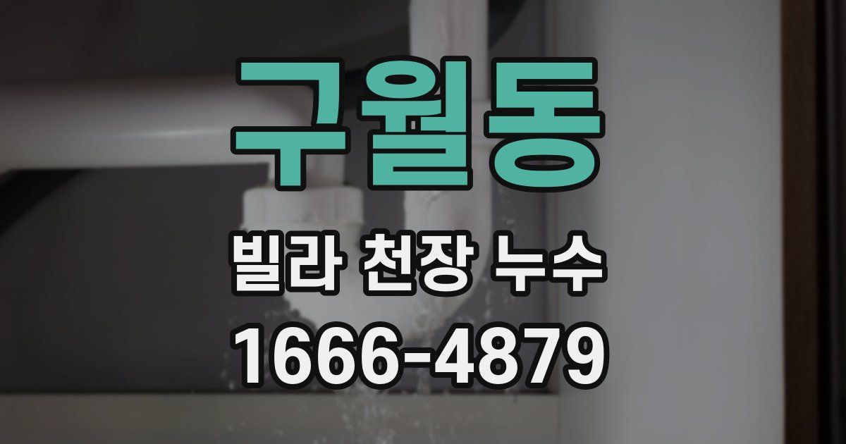 구월동 빌라 천장 누수