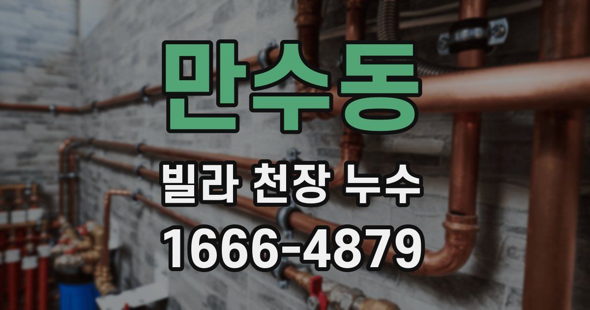 만수동 빌라 천장 누수