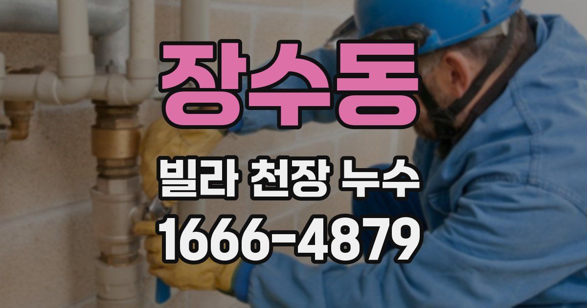 장수동 빌라 천장 누수