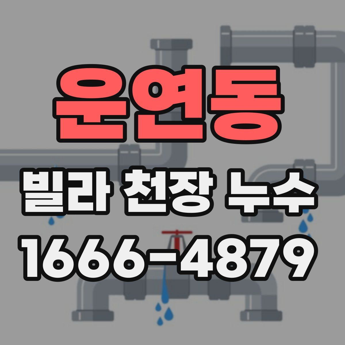 운연동 빌라 천장 누수