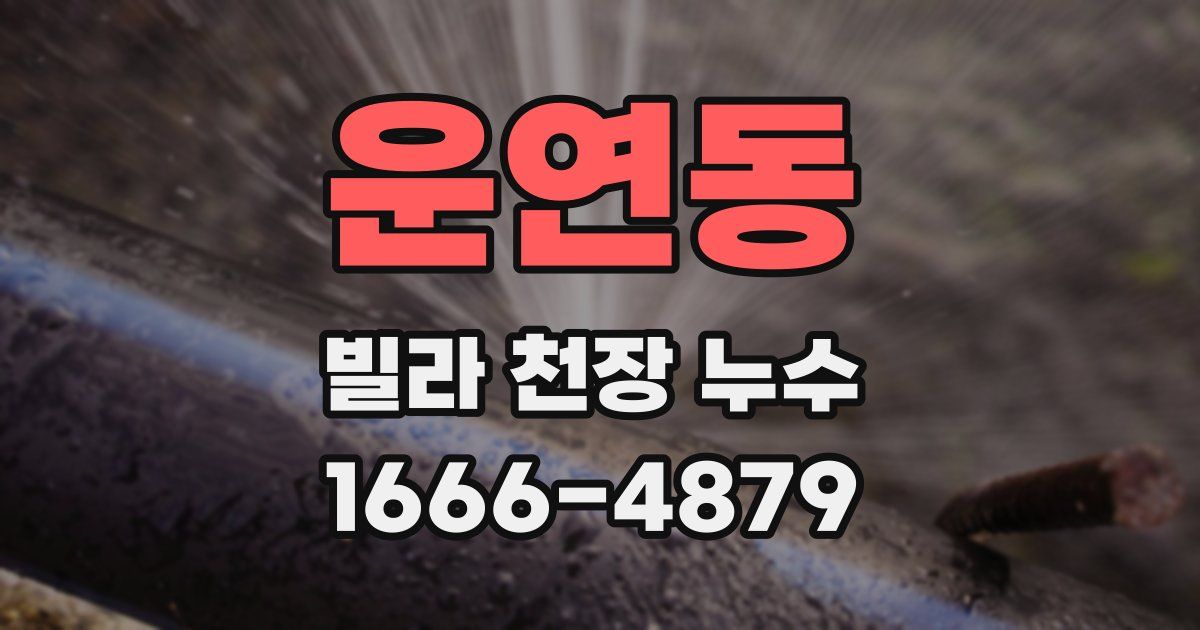운연동 빌라 천장 누수
