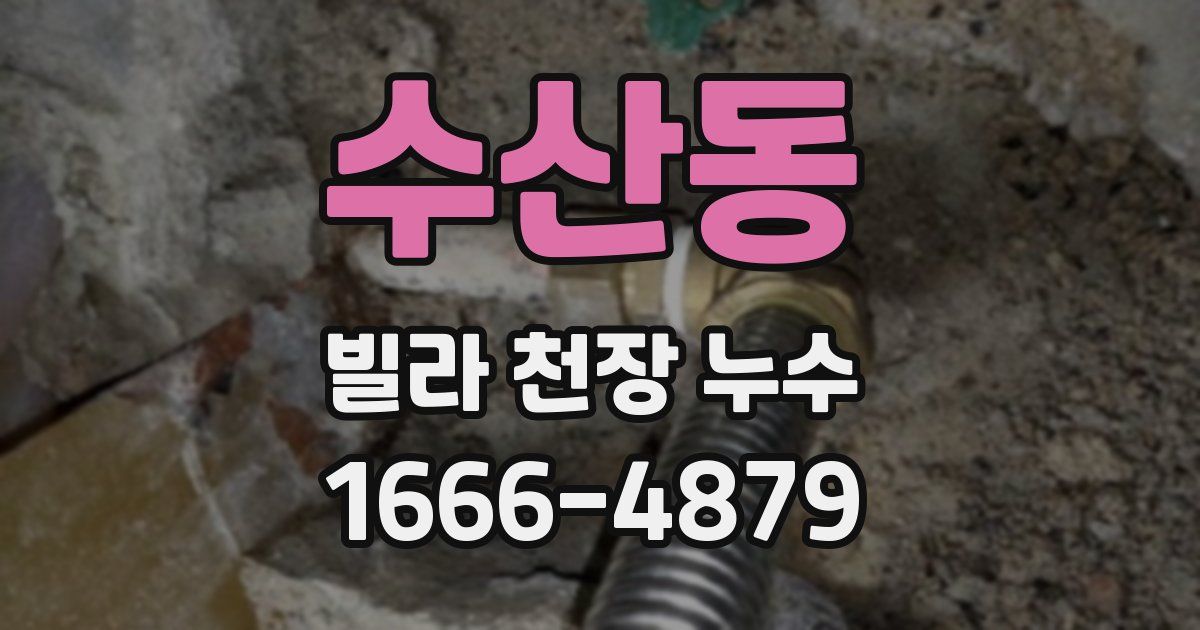 수산동 빌라 천장 누수