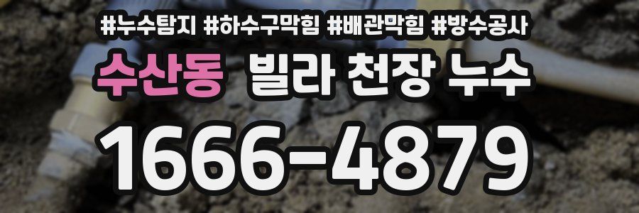 수산동 빌라 천장 누수