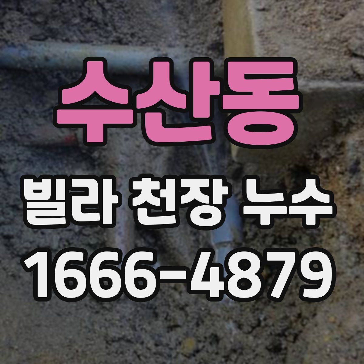 수산동 빌라 천장 누수