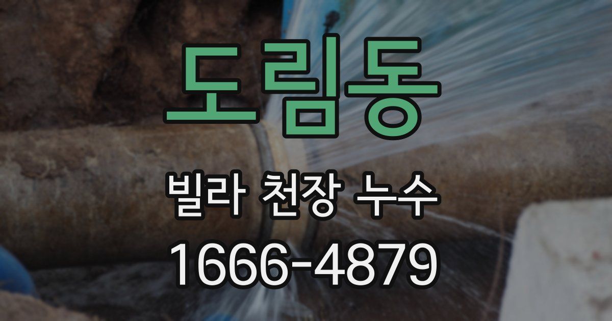 도림동 빌라 천장 누수
