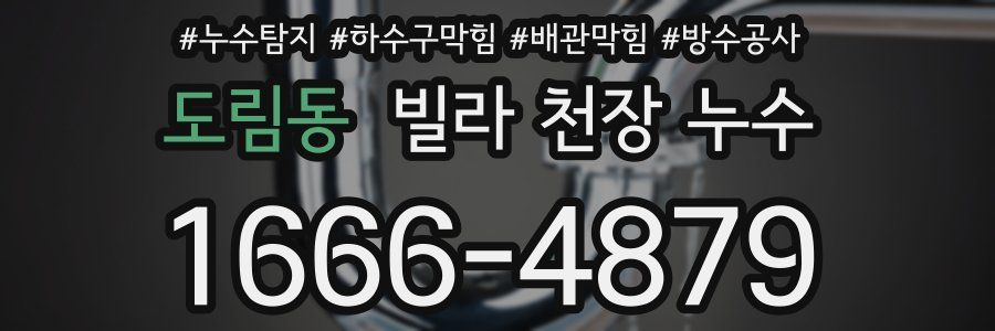 도림동 빌라 천장 누수