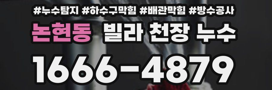 논현동 빌라 천장 누수