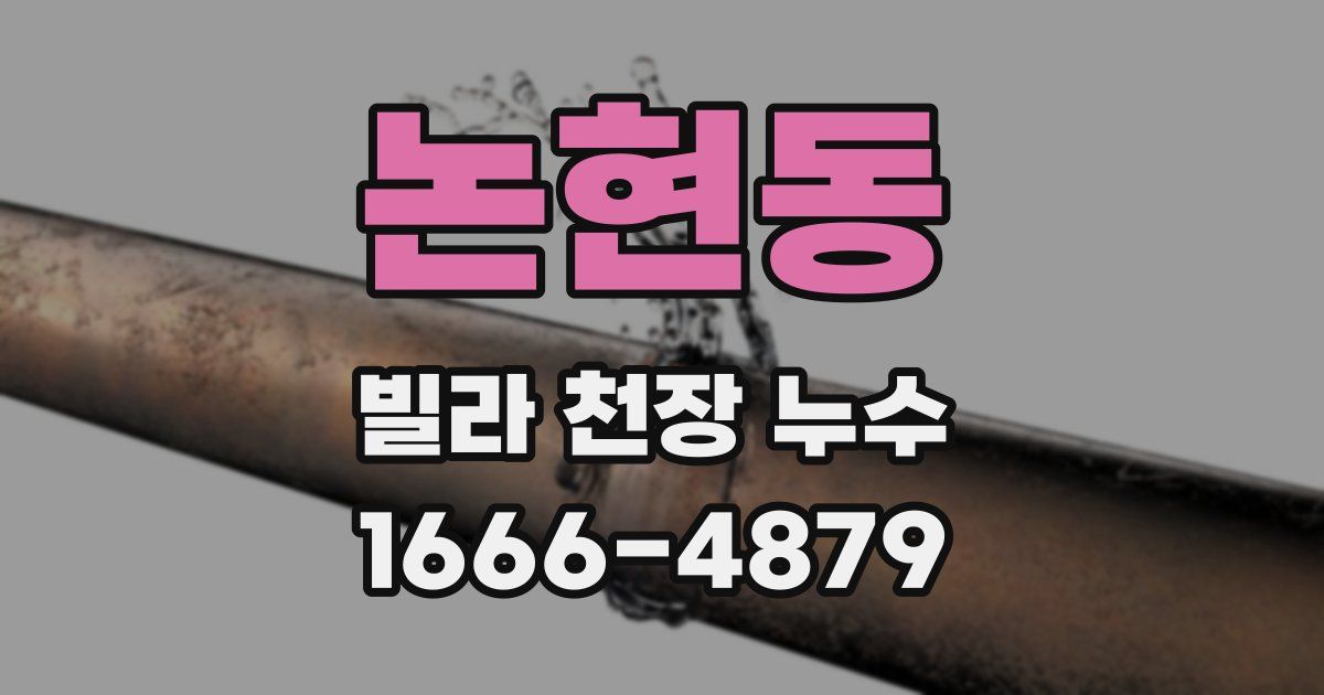 논현동 빌라 천장 누수