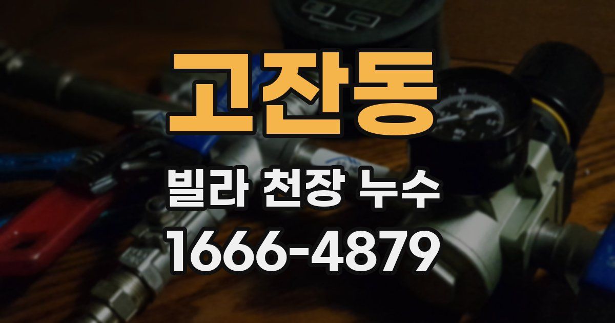 고잔동 빌라 천장 누수