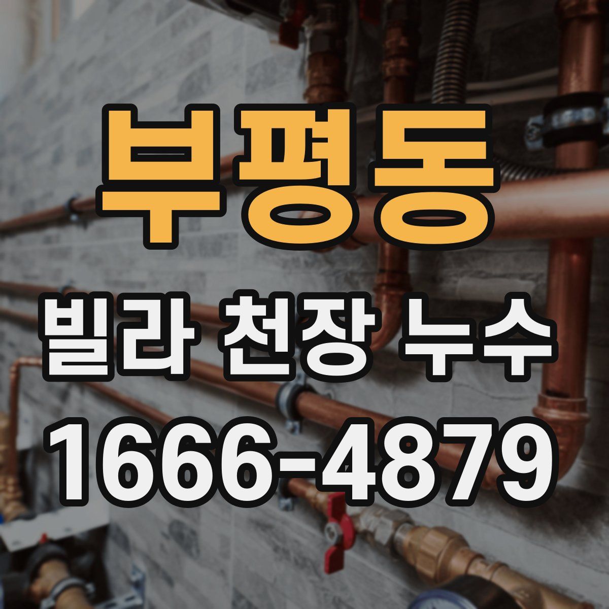 부평동 빌라 천장 누수