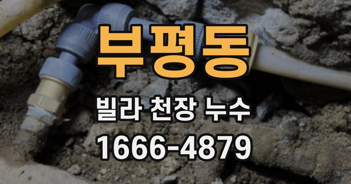 부평동 빌라 천장 누수