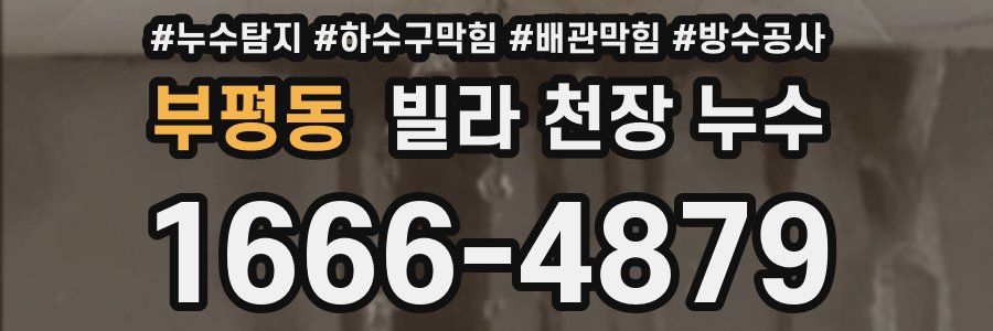부평동 빌라 천장 누수