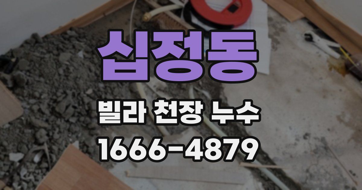 십정동 빌라 천장 누수