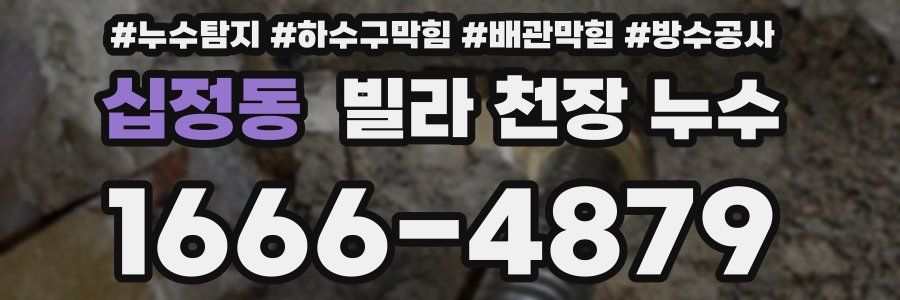 십정동 빌라 천장 누수