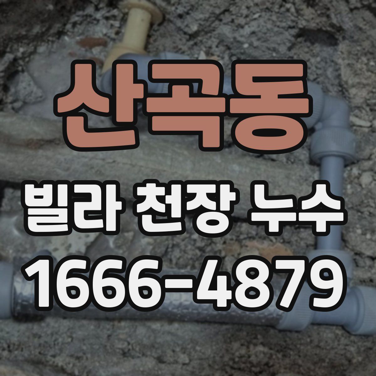 산곡동 빌라 천장 누수