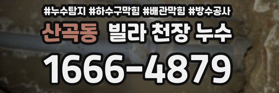 산곡동 빌라 천장 누수