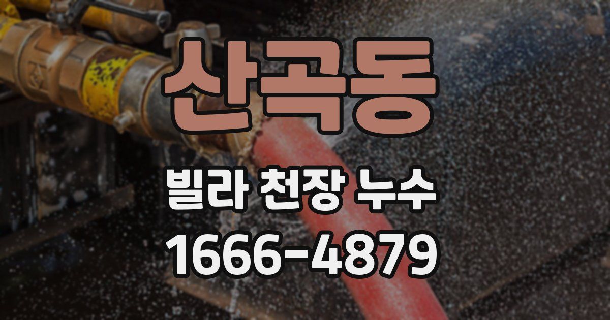 산곡동 빌라 천장 누수