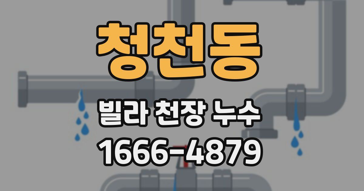 청천동 빌라 천장 누수