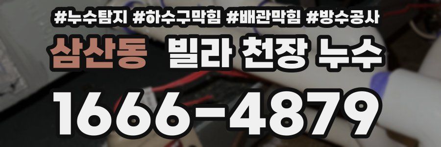 삼산동 빌라 천장 누수