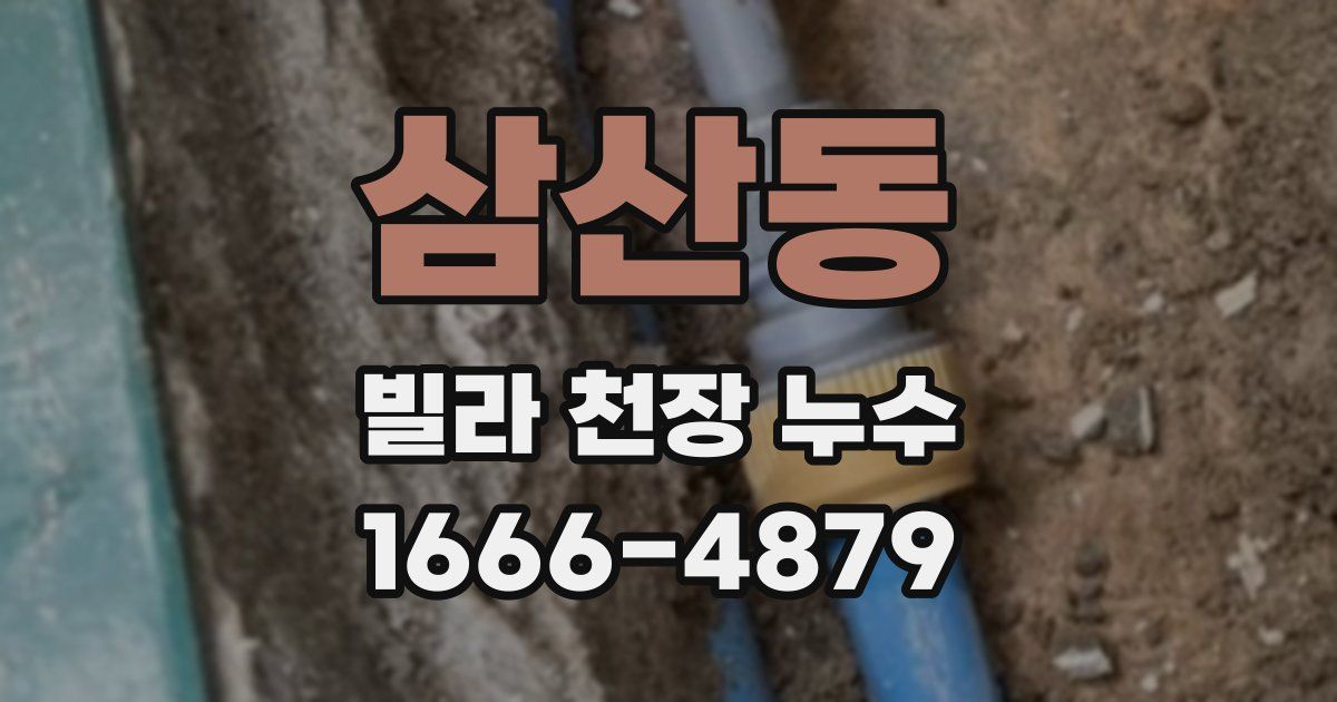 삼산동 빌라 천장 누수