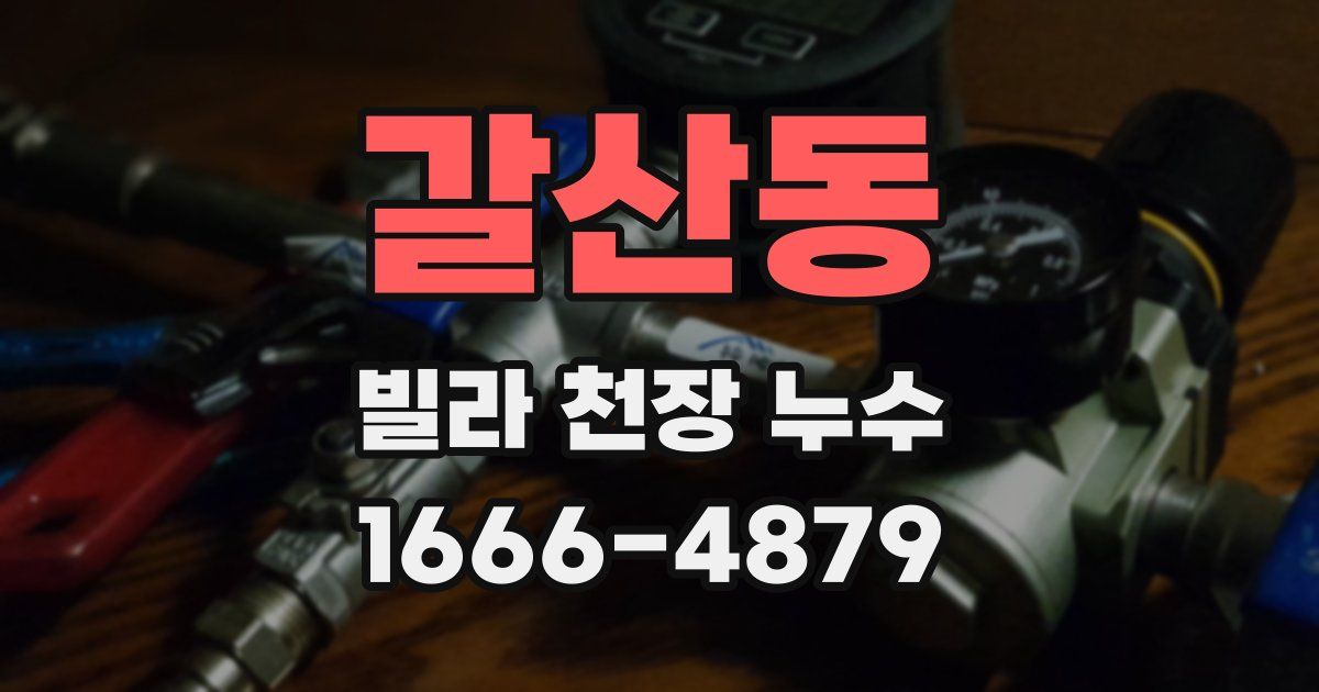 갈산동 빌라 천장 누수
