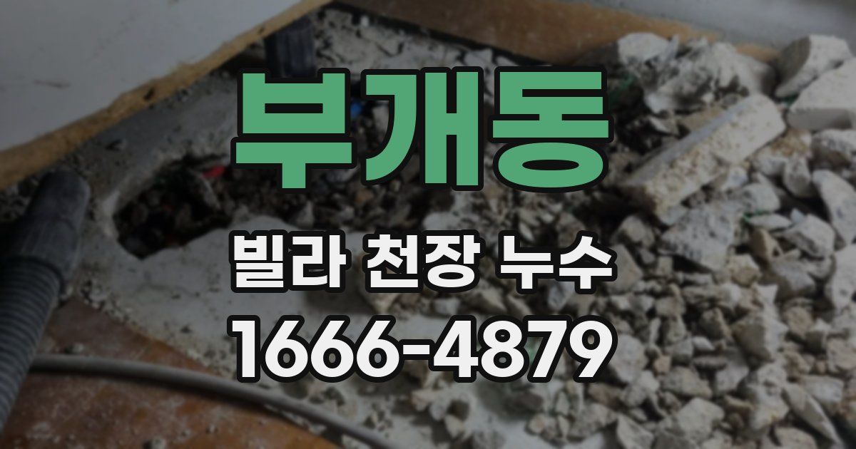 부개동 빌라 천장 누수