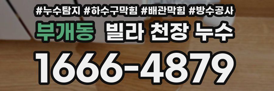 부개동 빌라 천장 누수