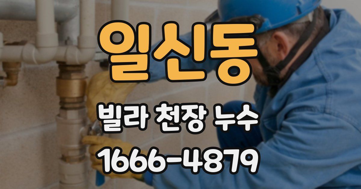 일신동 빌라 천장 누수