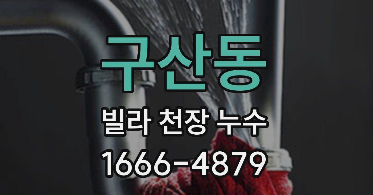 구산동 빌라 천장 누수