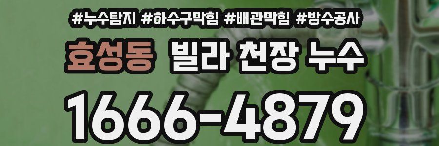 효성동 빌라 천장 누수