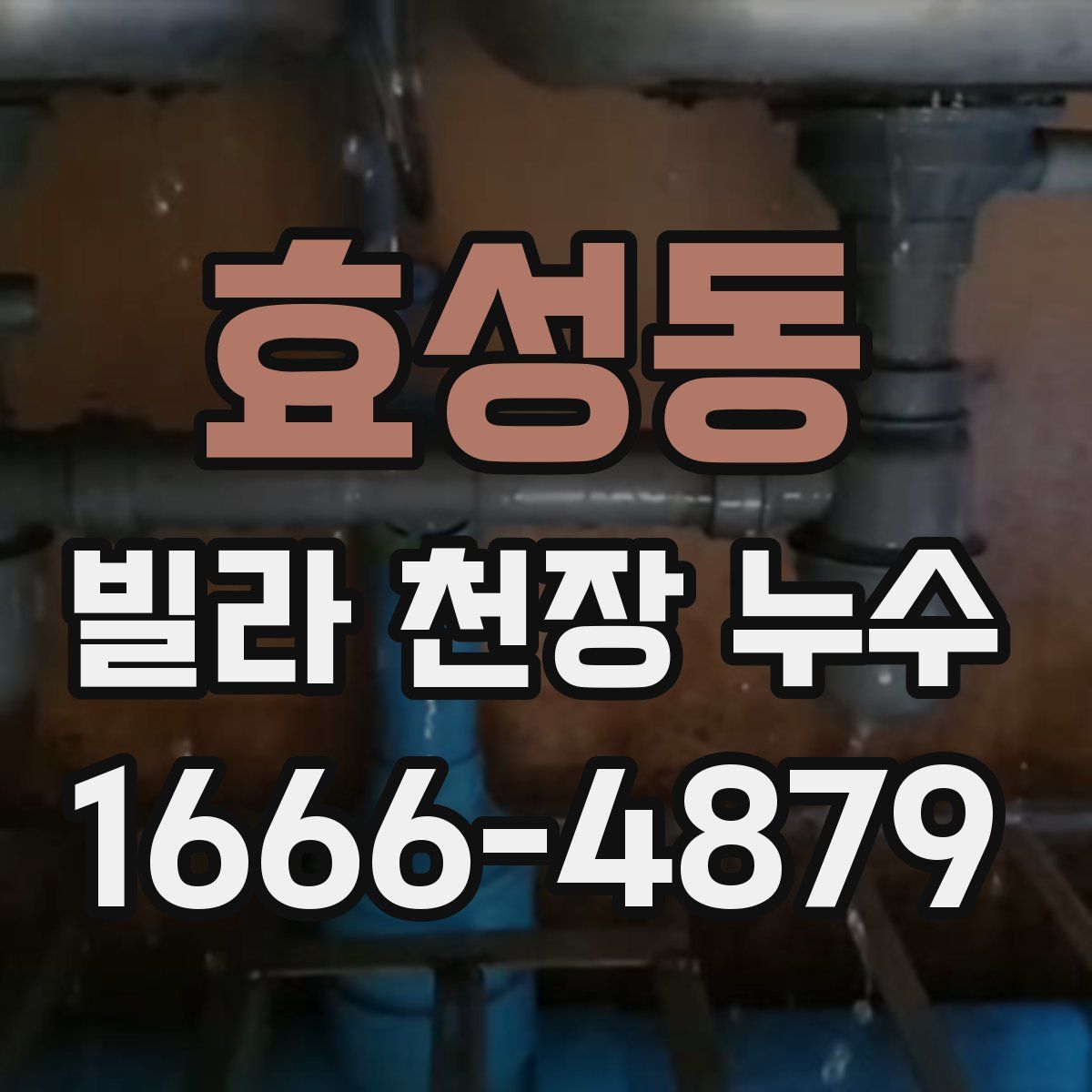 효성동 빌라 천장 누수