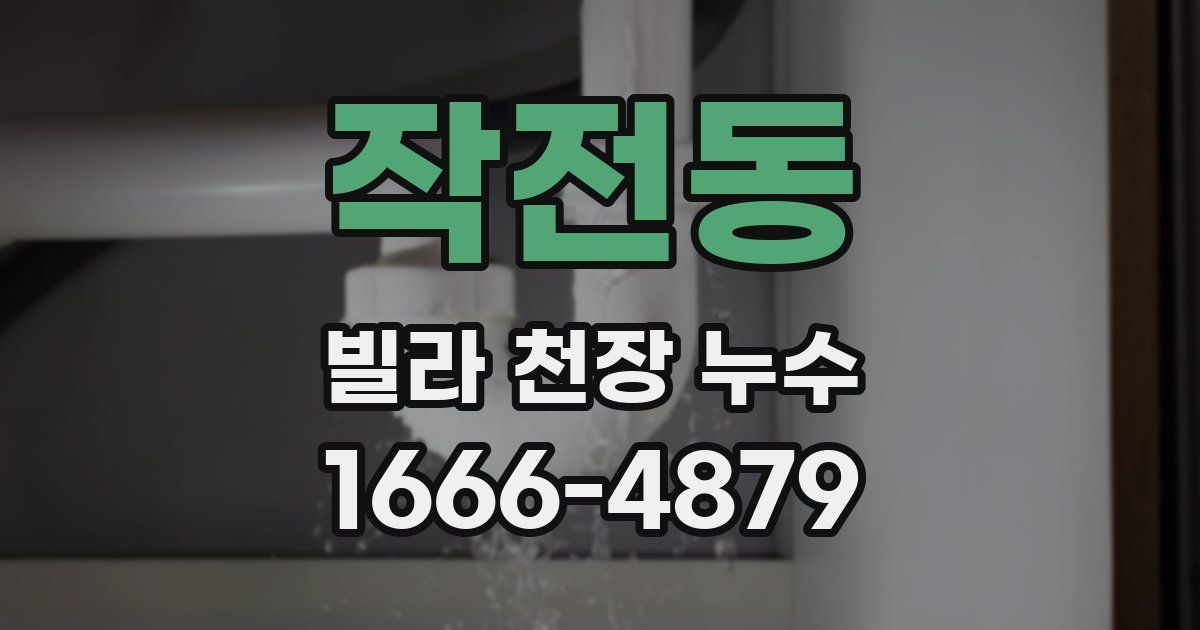 작전동 빌라 천장 누수