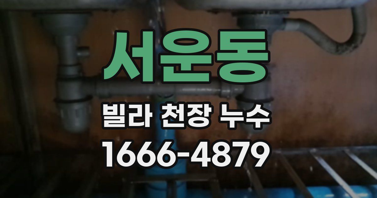 서운동 빌라 천장 누수