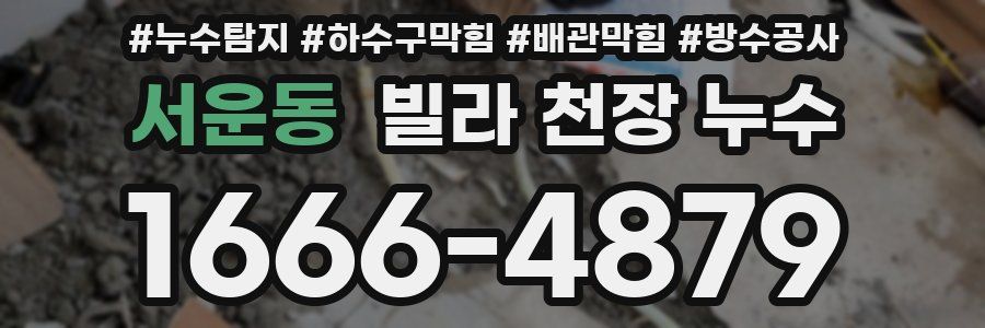 서운동 빌라 천장 누수